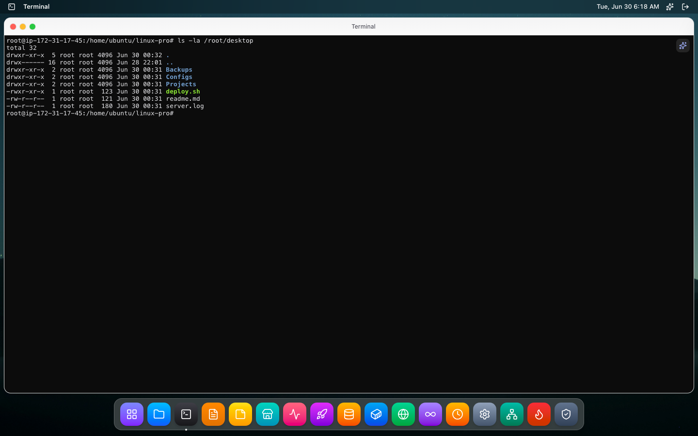 Interactive terminal running ls -la